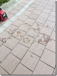 IMG_0853 IMG_0853