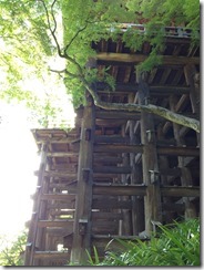 IMG_1444 IMG_1444